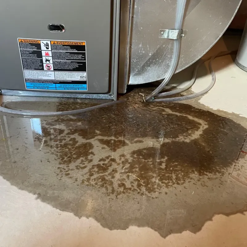 Appliance Leak Cleanup in Baton Rouge, LA